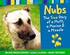Nubs