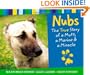 Nubs: The True Story of a Mutt, a Marine & a Miracle