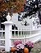 Autumn Tableau Photograph - Beautiful 16"x20" Photographic Print by Carol M. Highsmith