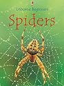 Spiders (Usborne beginners series)