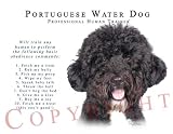 Portuguese Water Dog Human Trainer Mouse Pad Dog Mousepad