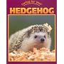 Caring For Your Hedgehog (Caring for Your Pet)