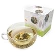 Jasmine Bloom "Display tea"