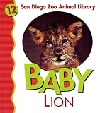Baby Lion (San Diego Zoo Library)