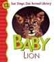 Baby Lion (San Diego Zoo Animal Library)