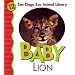 Baby Lion (San Diego Zoo Animal Library)