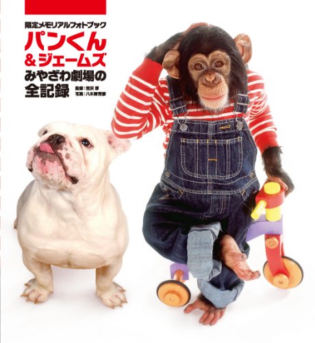 �ѥ󤯤���������ॺ���ߤ䤶���������Ͽ