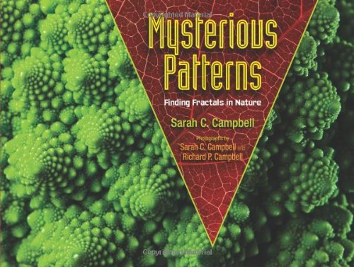 mysterious patterns finding fractals in nature