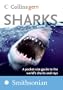 Sharks (Collins Gem)