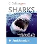 Sharks (Collins Gem)
