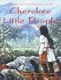 Cherokee Little People: The Secrets and Mysteries of the Yunwi Tsunsdi