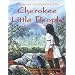 Cherokee Little People: The Secrets and Mysteries of the Yunwi Tsunsdi