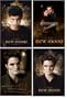 Set of 4 - Twilight - New Moon - Maxi Poster - 61 cm x 91.5 cm