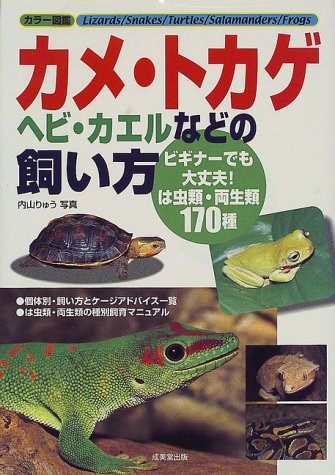 カラー図鑑 カメ・トカゲ・ヘビ・カエルなどの飼い方―ビギナーでも大丈夫!は虫類・両生類170種