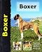 Boxer (Pet Love)