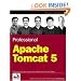 Professional Apache Tomcat 5 (Programmer to Programmer)