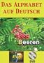 Das Alphabet auf Deutsch (German) DVD