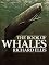 Book of Whales