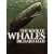 Book of Whales