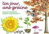 Un jour, une graine : Comment les plantes naissent et grandissent ?