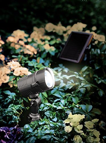 Superbright Solar Spotlight