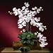 Phalaenopsis Silk Orchid Flower w/Leaves (6 Stems)