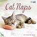 Avalon 12 x 12 Inches Cat Naps 2015-2016 Month Wall Calendar (84315)