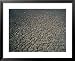 Arid Landscape, Cape York Peninsula, Australia Framed Art Poster Print by Oliver Strewe, 31x25