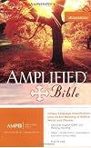 The Bible (Amplified Bible)