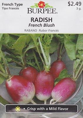 Burpee French Blush Radish - 100 Seeds