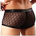 Cczmfeas Mens Mesh Sheer Breathable Underwear Boxer Briefs Trunks Underpants 3 Pack (Black, Large)