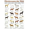 Schreiber Naturtafeln, Pferderassen der Welt
