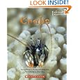 Crabs (Undersea Encounters)