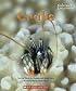 Crabs (Undersea Encounters)