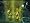 Justice League Heroes (Xbox)