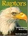 Raptors: North American Birds of Prey