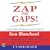 ZAP THE GAPS! Target Higher Performance and Achieve It!