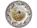 Spode Woodland Hunting Dogs 10-1/2-Inch Dinner Plate, English Springer Spaniel