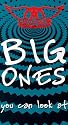 Aerosmith: Big Ones You Can Look at [VHS]