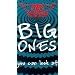 Aerosmith: Big Ones You Can Look at [VHS]
