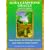 AORA Gemstone Oracle Cards