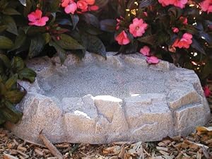 Amazon.com : Birds Choice Rocky Mountain Ground Level Bird Bath ...