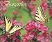 Butterflies of North America 2010 Calendar