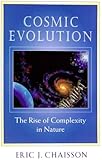 Cosmic Evolution : The Rise of Complexity in Nature