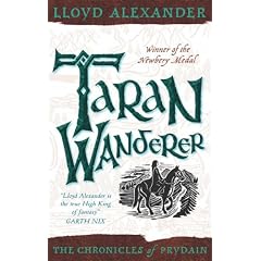 Taran Wanderer