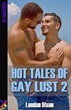 Hot tales of gay lust 2 : a collection of twenty erotic stories