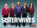 Sister Wives Separated