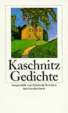 Gedichte (insel taschenbuch)