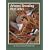 The Arizona Breeding Bird Atlas