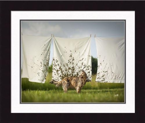 Golden Retriever Shaking Mud 16 x 20 Double Matted Under Glass Black Satin Wood Framed Wall Art